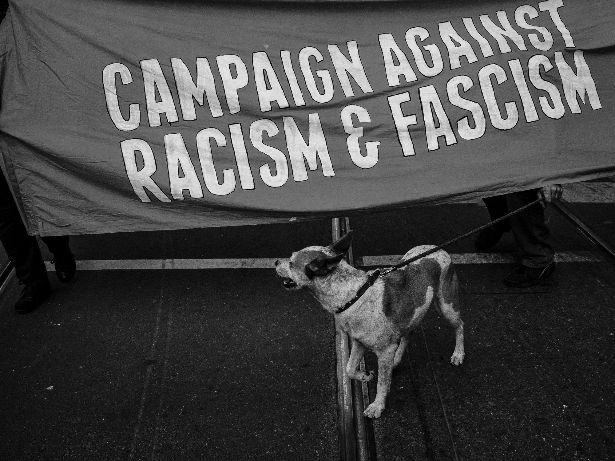Demonstrators carrying a hand-painted "Campaign Against Racism & Fascism" banner through a street, a dog on a lead walking alongside them